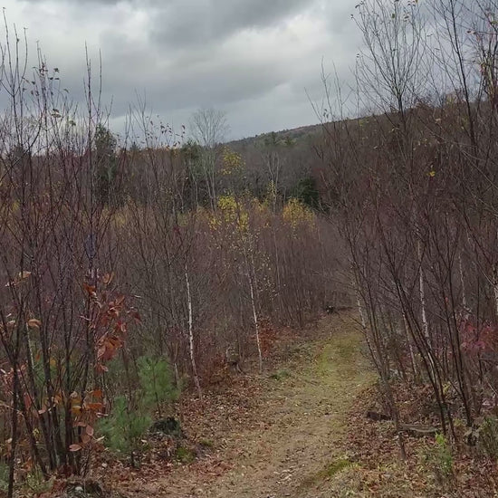 Lower trails