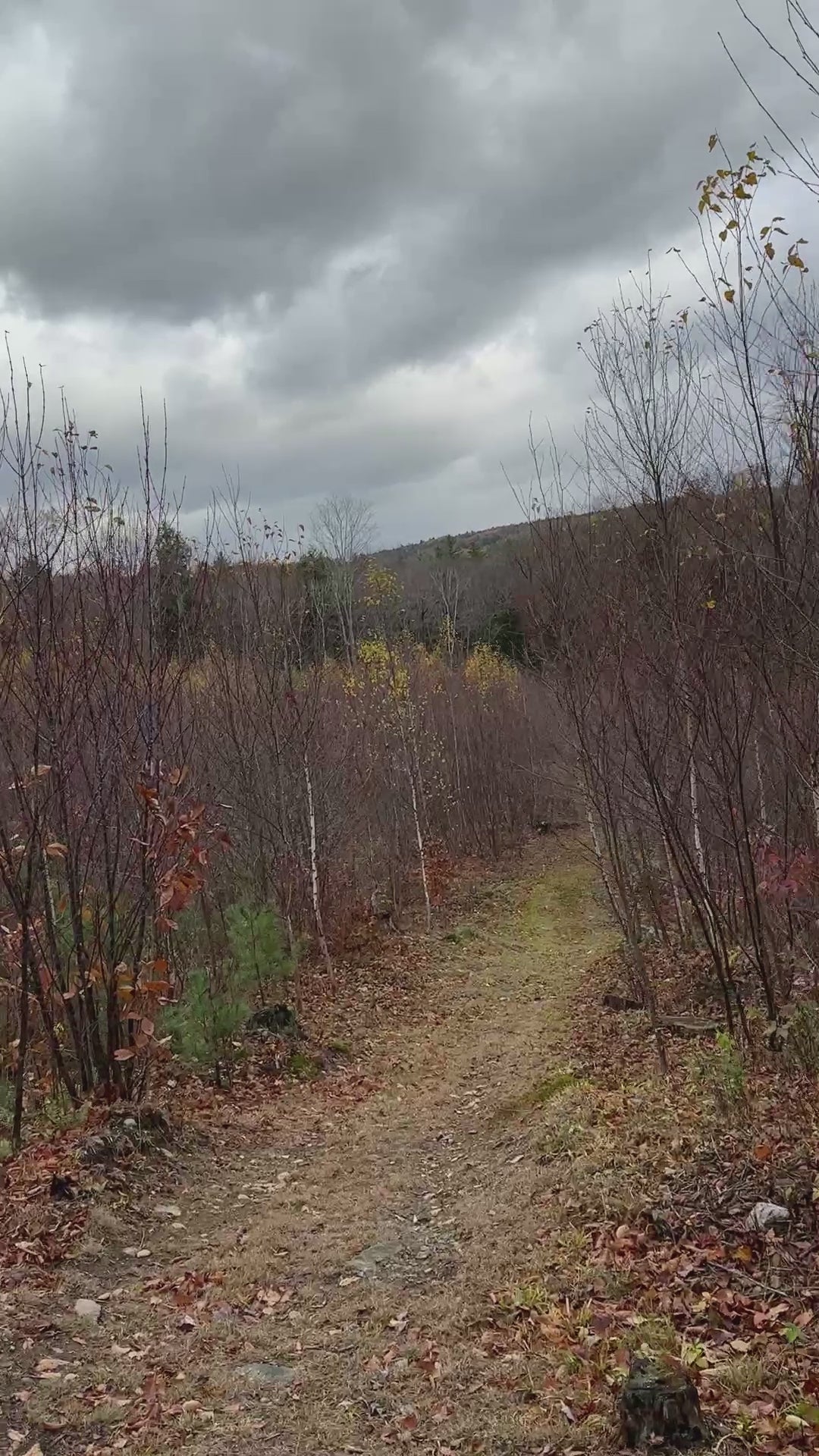 Lower trails