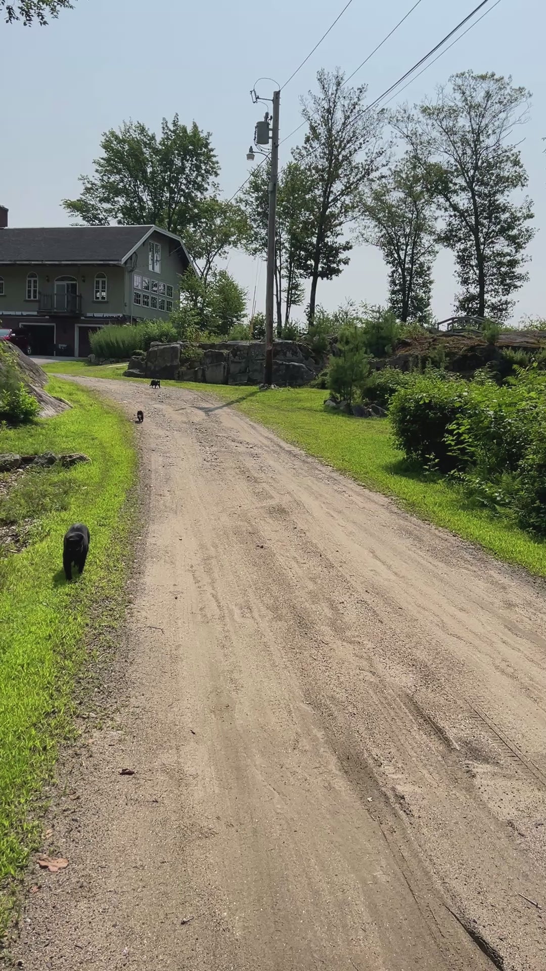 Walking away from house down the driveway.