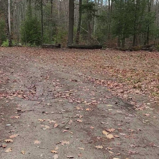 Driveway And Chains drive by