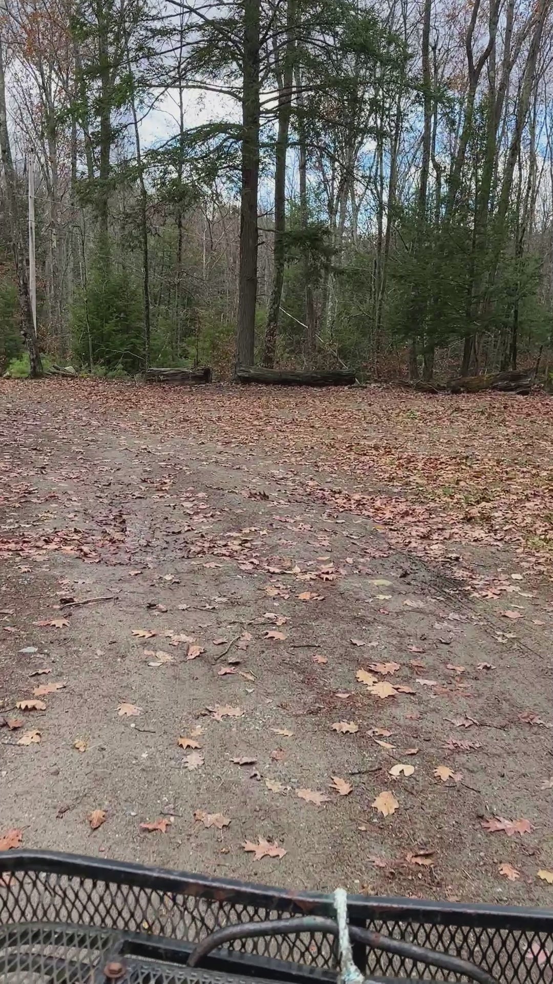 Driveway And Chains drive by