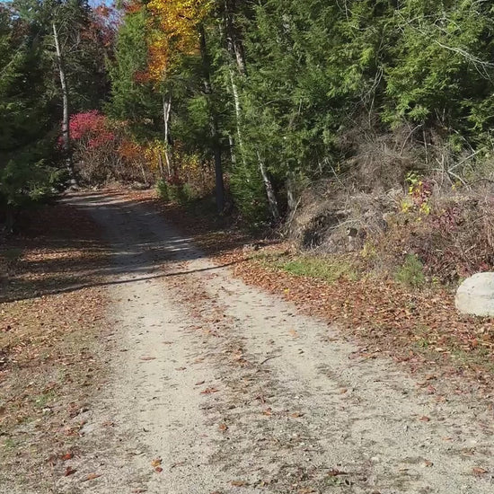 Fox run circular driveway