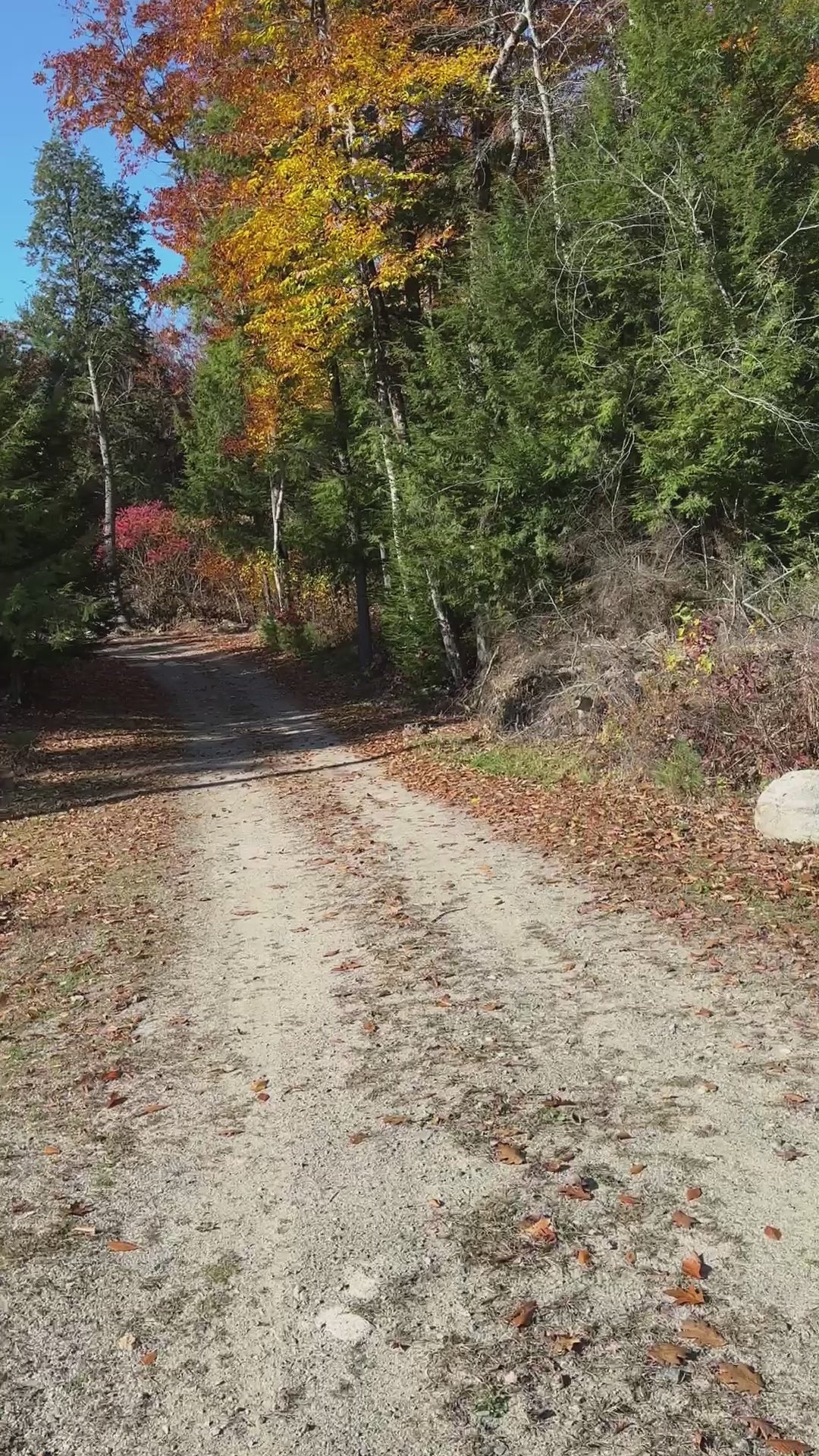 Fox run circular driveway