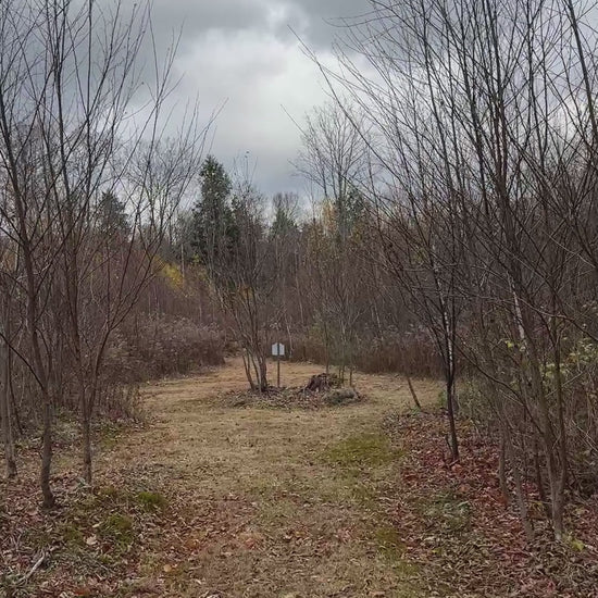 Lower trail 