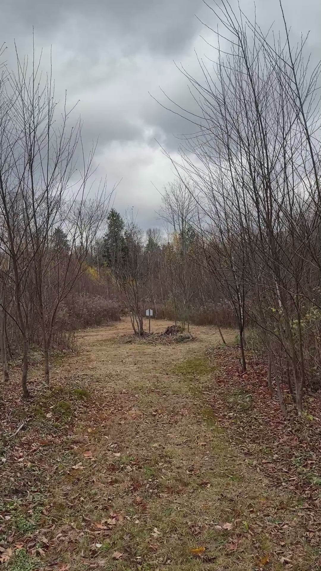 Lower trail 